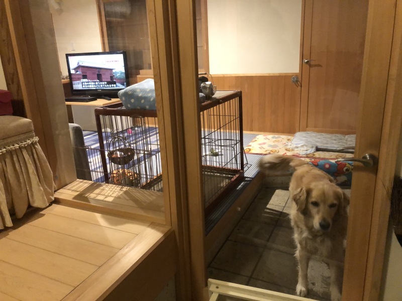 古民家再生から6年目 犬と暮らす家_a0129492_00263742.jpeg