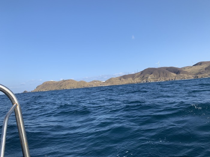 青森県の魚はヒラメ_b0150120_16093577.jpg