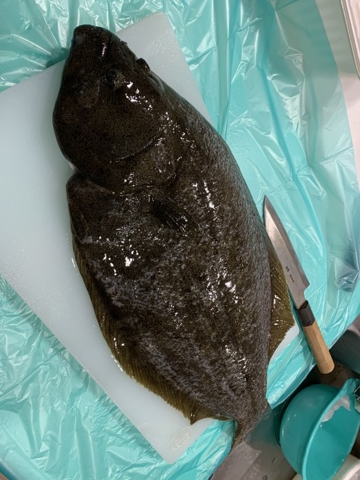 青森県の魚はヒラメ_b0150120_16100504.jpg