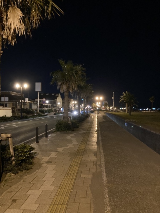 PT吉野のランニング日記|久しぶりのロングラン_b0329026_12284802.jpeg