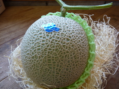 匠の高級マスクメロン 今年はクリスマス ニューイヤーメロン 栽培の様子を徹底取材 つる巻き付け編 ｆｌｃパートナーズストア