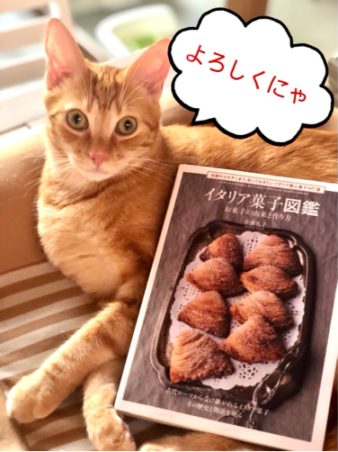 全ての聖人の日のお菓子 サルデニア パパッシノス 幸せなシチリアの食卓 時々にゃんこ 全ての聖人の日のお菓子 サルデニア パパッシノス 幸せなシチリアの食卓 時々にゃんこ