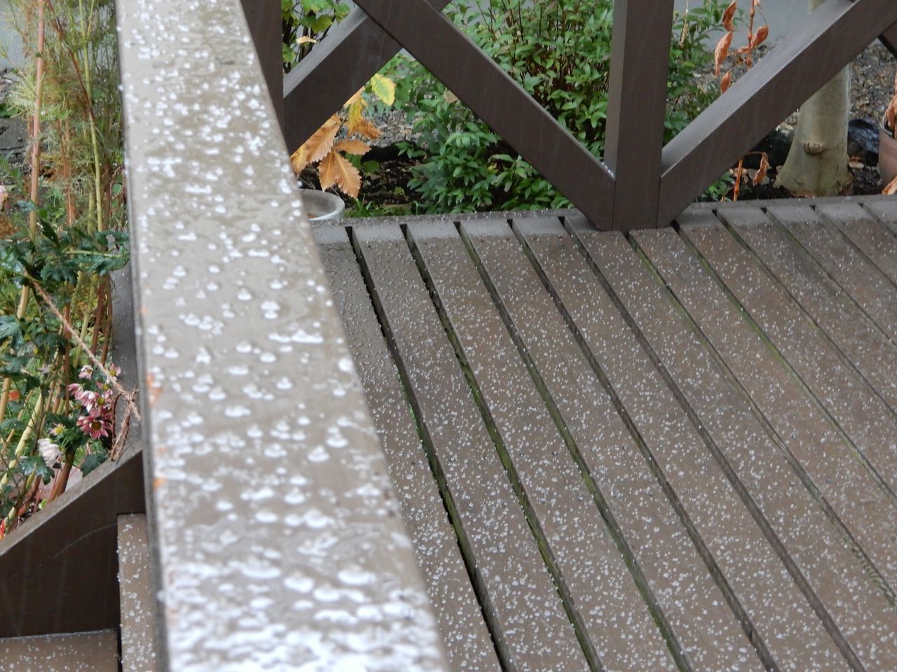 稚内では昨夜初雪、札幌はまだ_c0025115_21190339.jpg