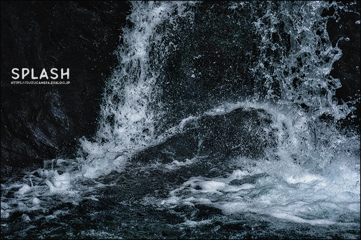 SPLASH_f0100215_19322173.jpg