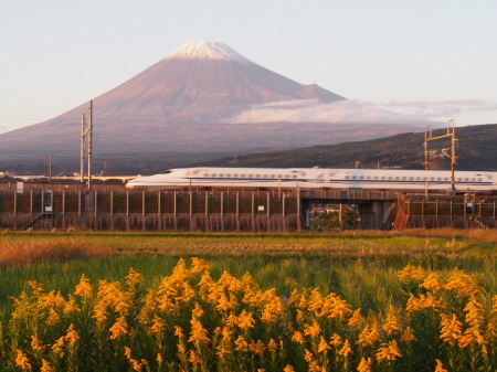 フジヤマ・シンカンセン_c0193627_21432632.jpg