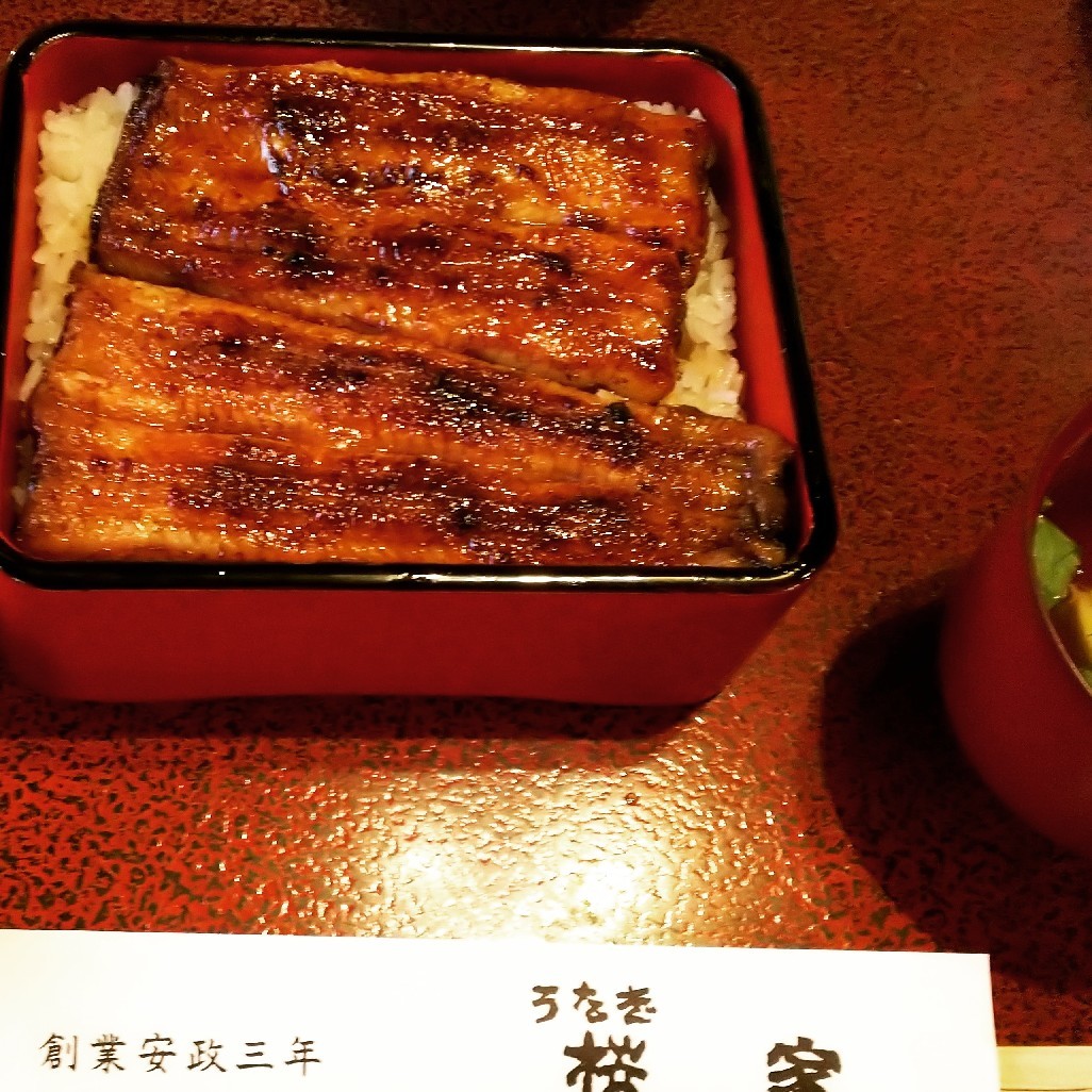 三島市 うなぎ 桜家 食べログ 百名店に選ばれてました 白い羽 彡静岡県東部情報発信 Pipipi 三島市 うなぎ 桜家 食べログ 百名店に選ばれてました 白い羽 彡静岡県東部情報発信 Pipipi