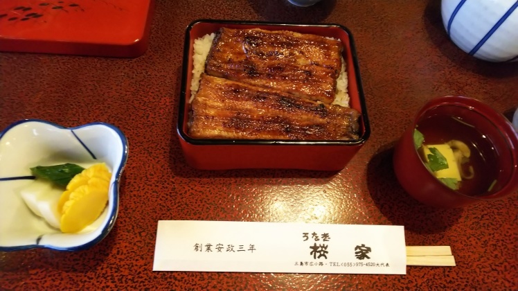 三島市 うなぎ 桜家 食べログ 百名店に選ばれてました 白い羽 彡静岡県東部情報発信 Pipipi