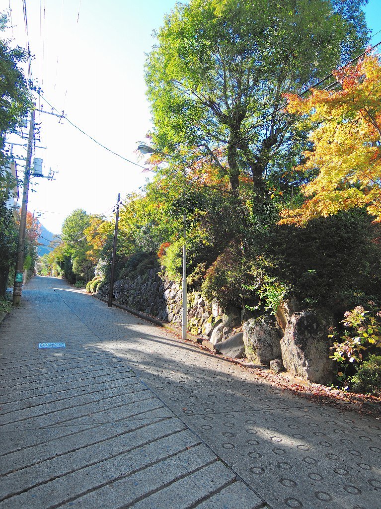 箱根美術館@公園上 #1_c0395834_22135484.jpg