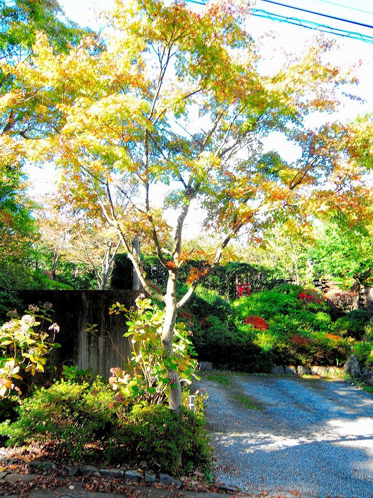 箱根美術館@公園上 #1_c0395834_22135501.jpg