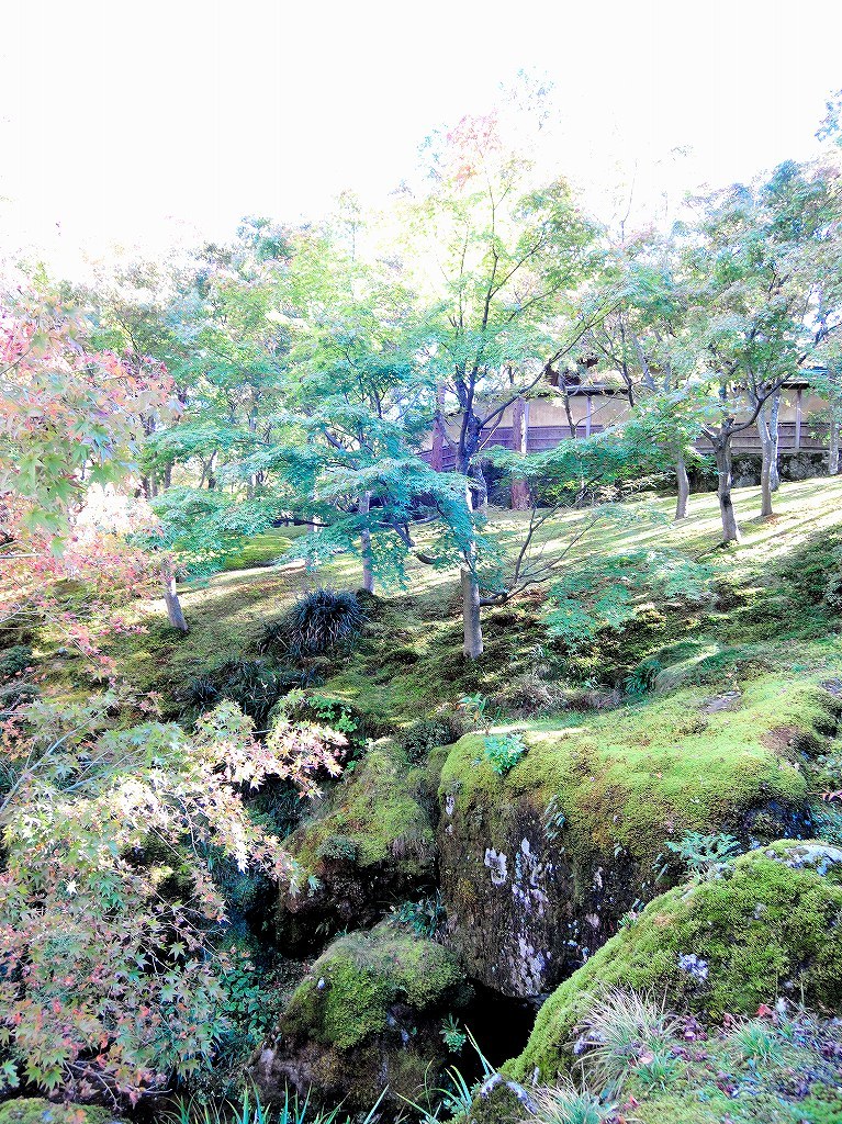 箱根美術館@公園上 #1_c0395834_22135661.jpg