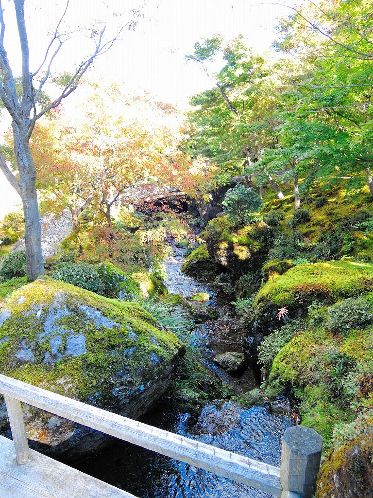 箱根美術館@公園上 #1_c0395834_22135999.jpg