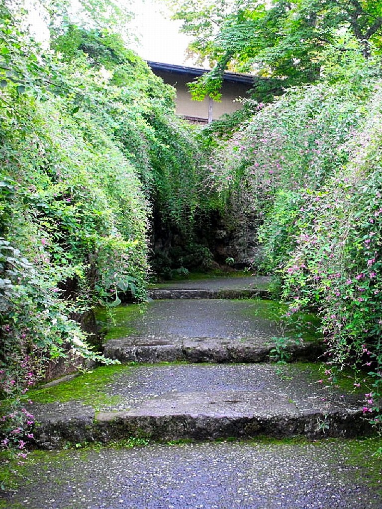 箱根美術館@公園上 #1_c0395834_22140002.jpg