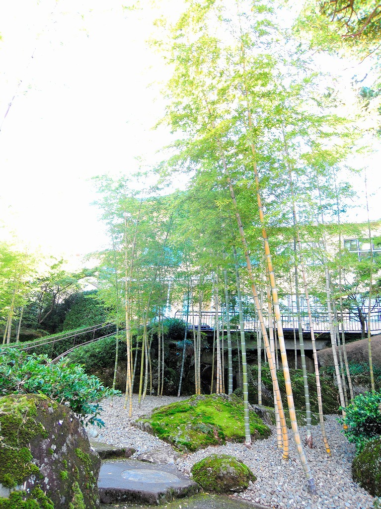 箱根美術館@公園上 #1_c0395834_22140039.jpg