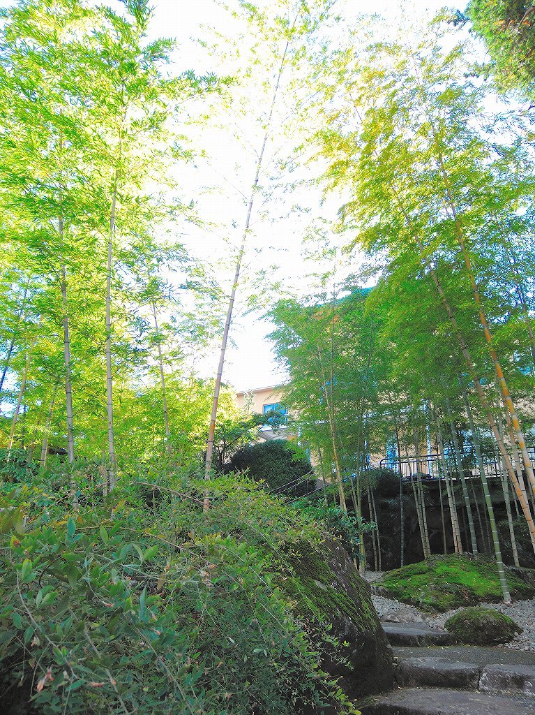 箱根美術館@公園上 #1_c0395834_22140093.jpg
