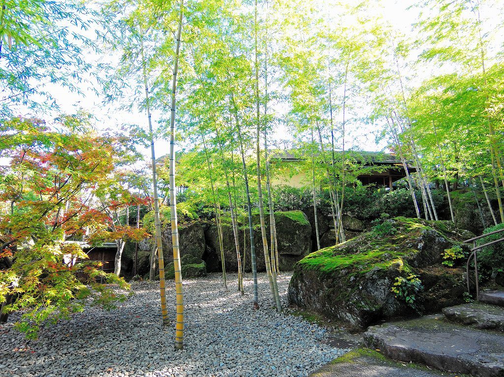 箱根美術館@公園上 #1_c0395834_22140482.jpg