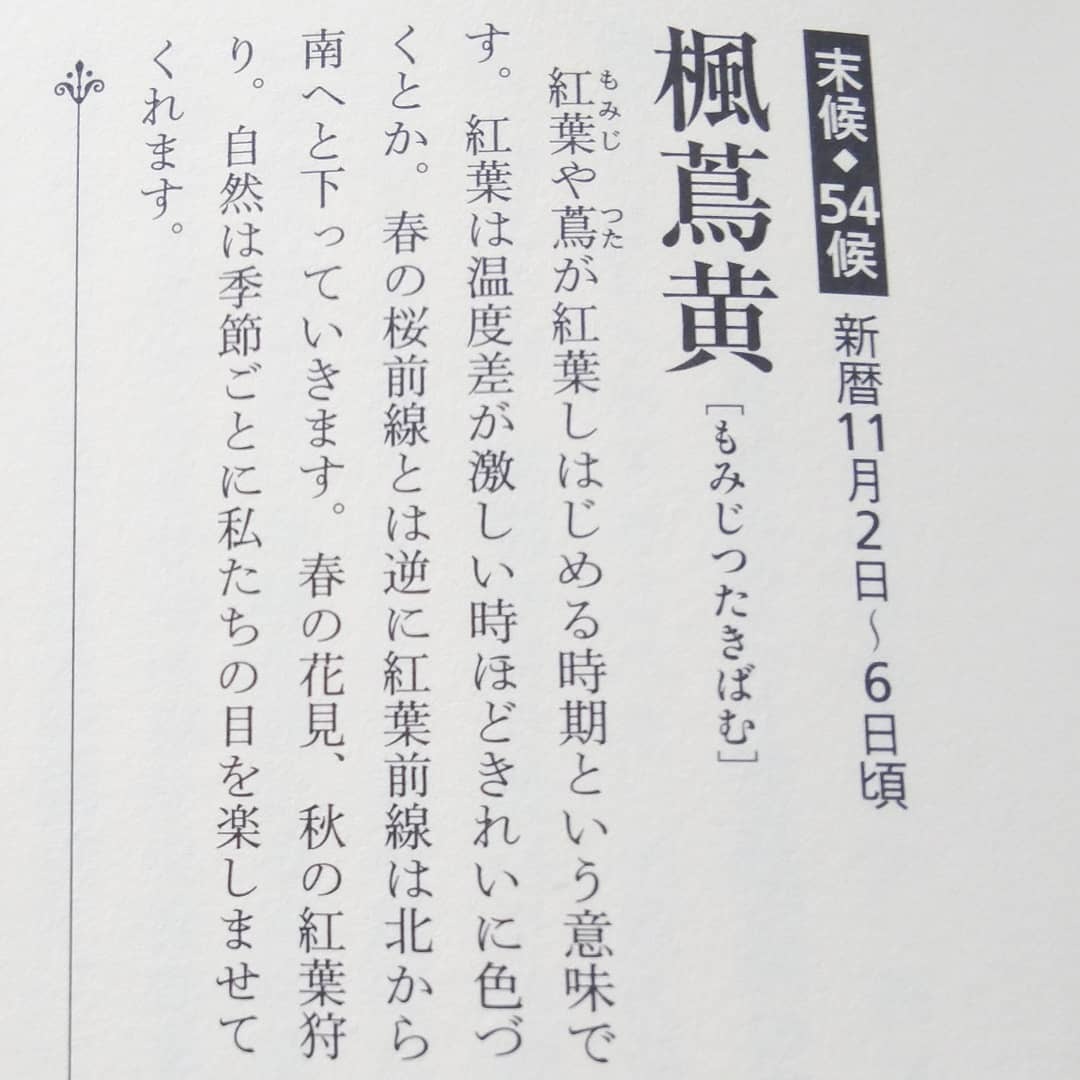 201103 七十二候「楓蔦黄(もみじつたきばむ) 」_f0164842_14164052.jpg