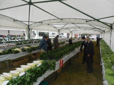 東京都農業祭農畜産物品評会_c0332682_21520407.jpg