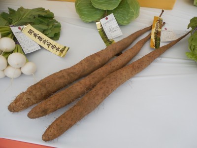 東京都農業祭農畜産物品評会_c0332682_21522801.jpg