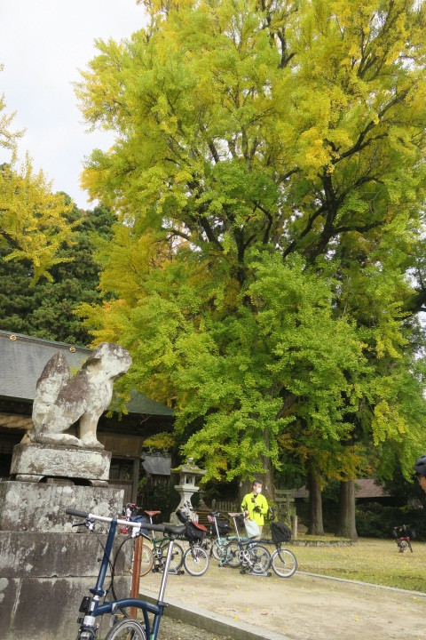 紅葉スイッチオン!_c0132901_20031397.jpg