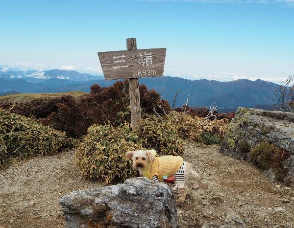 2020年10月18日　三嶺登山_a0133211_21295126.jpg