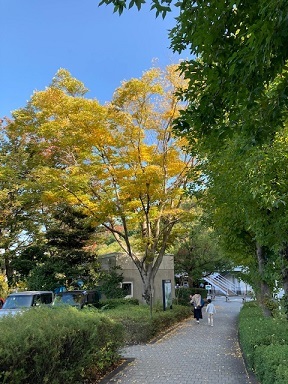 芸術の秋???_d0162516_22291801.jpg
