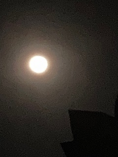 芸術の秋???_d0162516_22294601.jpg