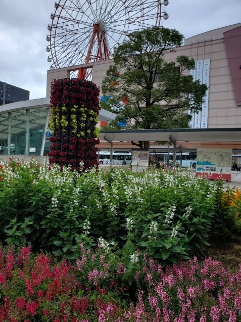 中央駅前は花畑 おでかけメモランダム 鹿児島 中央駅前は花畑 おでかけメモランダム 鹿児島