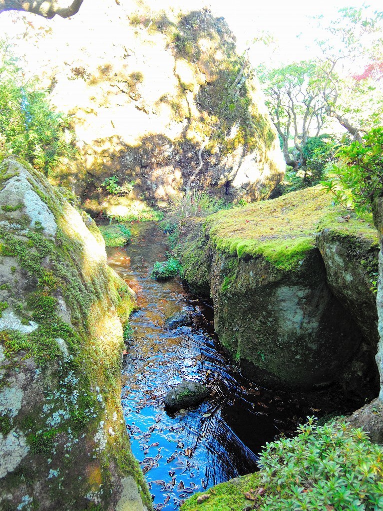 箱根美術館@公園上 #2_c0395834_23580079.jpg