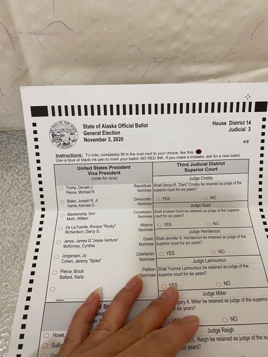 アメリカ大統領選挙 投票に行ってきた~!_b0135948_09385920.jpg