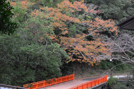 秋の湯香里橋_b0145257_18541324.jpg