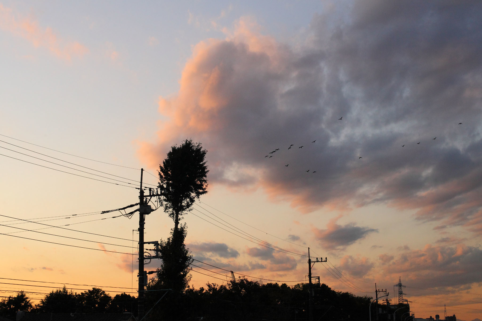 夕景と野球場_c0299360_23332022.jpg