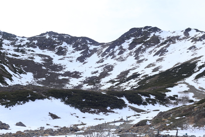 仙丈ヶ岳 201031-1101 大好きな山 2日目_e0338862_19203256.jpg