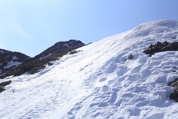 仙丈ヶ岳 201031-1101 大好きな山 2日目_e0338862_19250726.jpg