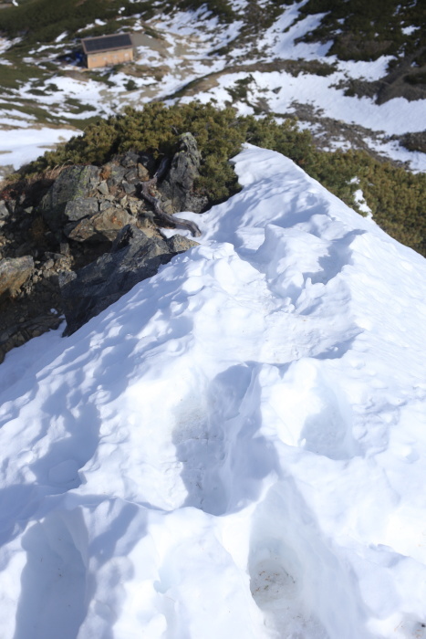 仙丈ヶ岳 201031-1101 大好きな山 2日目_e0338862_19295372.jpg