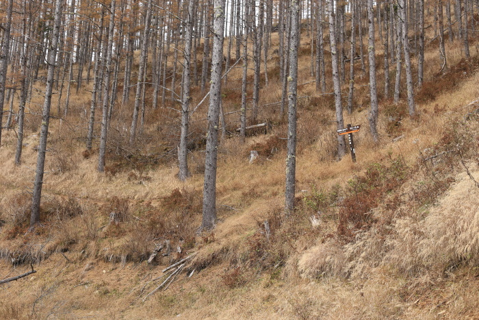 仙丈ヶ岳　201031-1101　大好きな山　2日目_e0338862_19355001.jpg