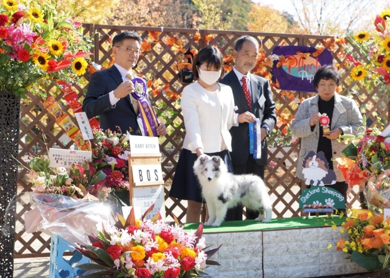 週末お写真_f0126965_21323098.jpg