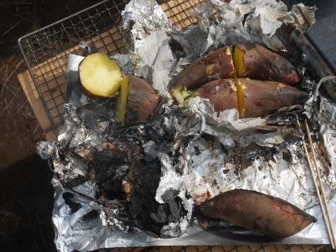 焼き芋のこつが分かってきた：11・3六国見山手入れ（下）_c0014967_18213560.jpg