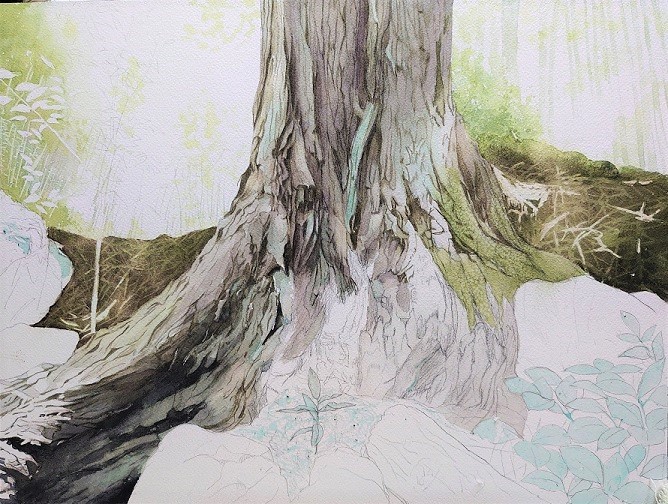 森のかたすみ過程 : 小林啓子水彩画の部屋