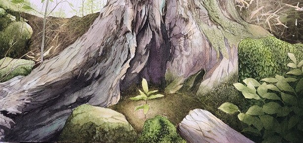 森のかたすみ過程 : 小林啓子水彩画の部屋