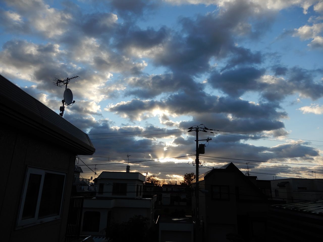一転、暖かな秋の一日_c0025115_21145674.jpg