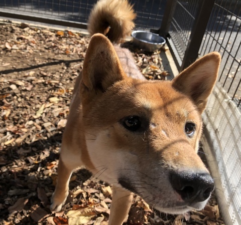 _f0078320_13530229.jpeg