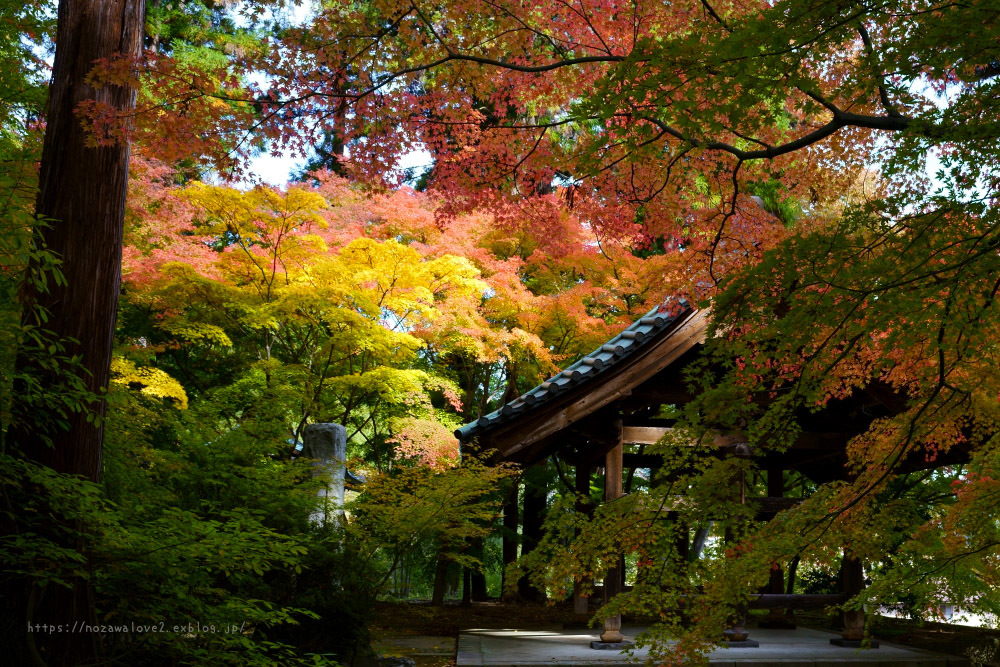 長野市 昌禅寺さんの紅葉 野沢温泉とその周辺いろいろ2 長野市 昌禅寺さんの紅葉 野沢温泉とその周辺いろいろ2