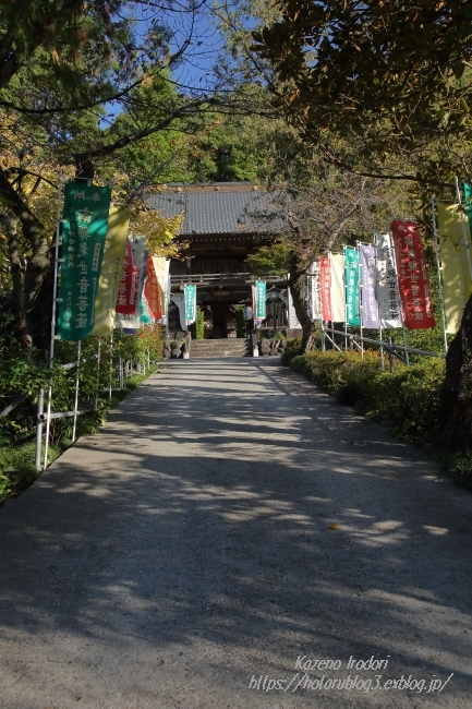 秋の秩父12番札所　仏道山野坂寺　_c0405449_20174878.jpg