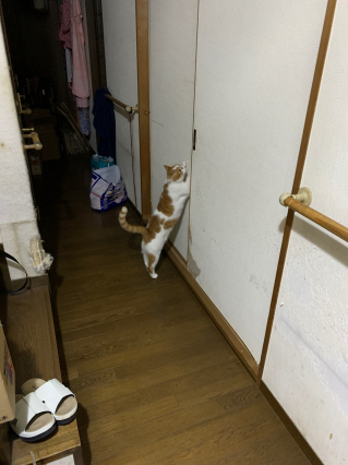 やめて!_a0028451_18410977.jpg