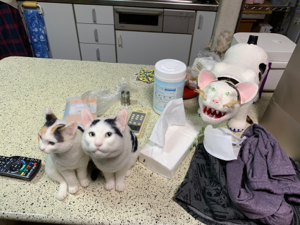 ナナクロとミケ子_a0028451_18451685.jpg