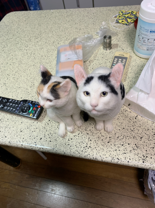 ナナクロとミケ子_a0028451_18452165.jpg