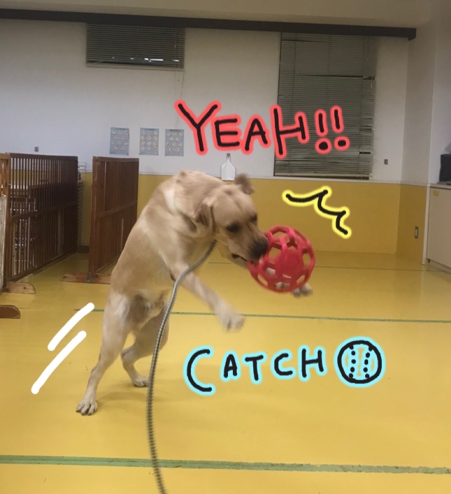 寒さを吹きとばせ!_f0357682_01272426.jpg