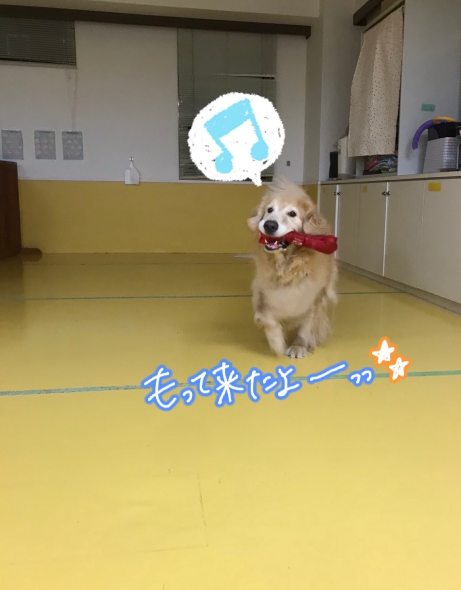 寒さを吹きとばせ!_f0357682_01293570.jpg