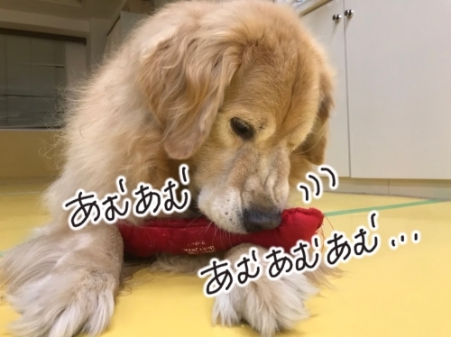 寒さを吹きとばせ!_f0357682_01305027.jpg