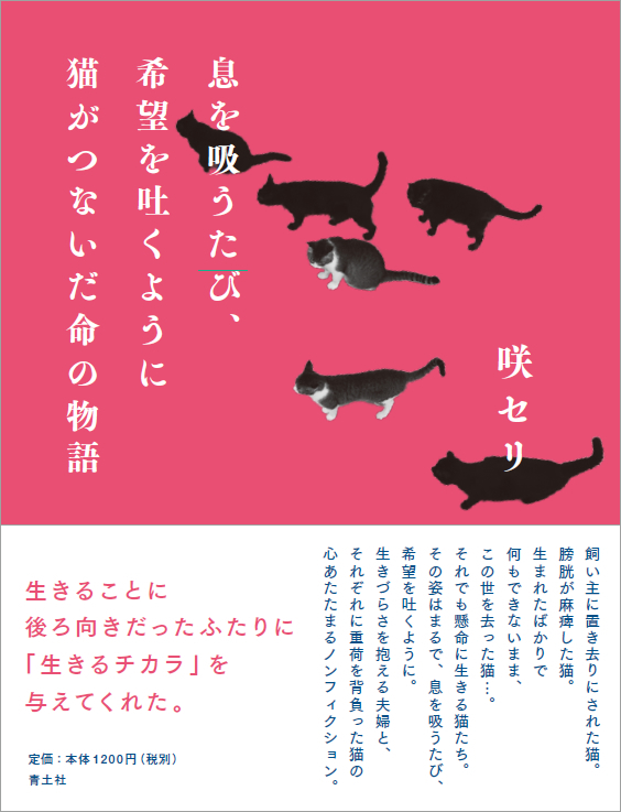 黒縞クイズ、答え～！（書籍制作の裏話）_a0389088_09580128.jpg